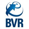 BVR